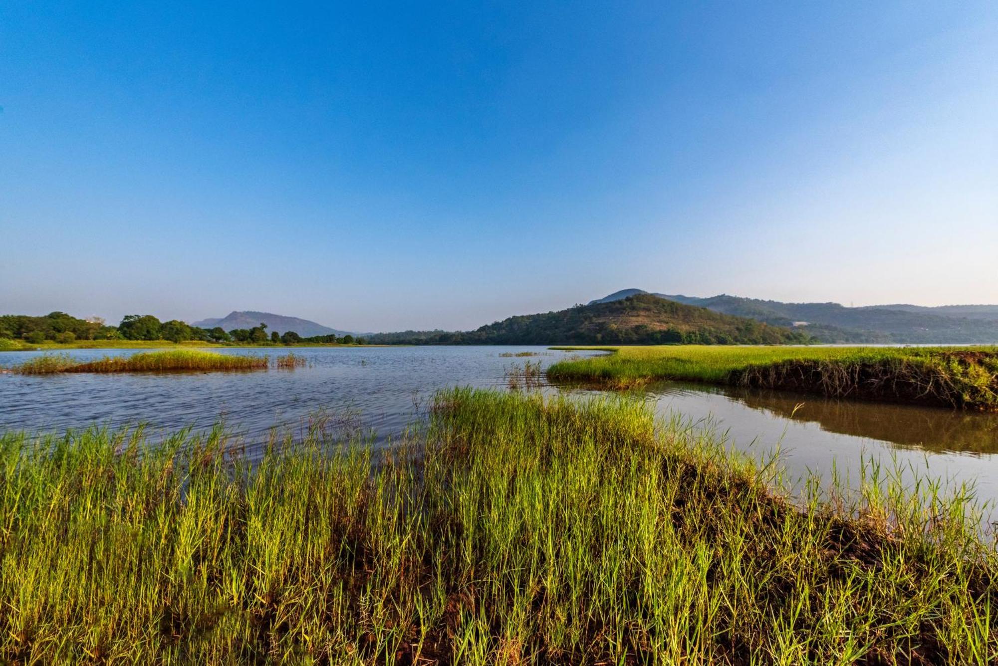 Saffronstays Lakeview Nivara - Farm Stay Villa With Private Pool Near Pune Eksteriør bilde